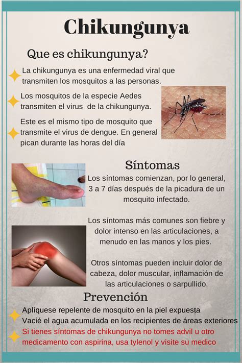 chikungunya sintomas-1